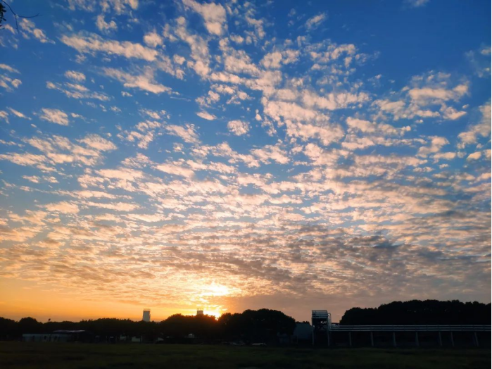 271701044007520403.png image.png