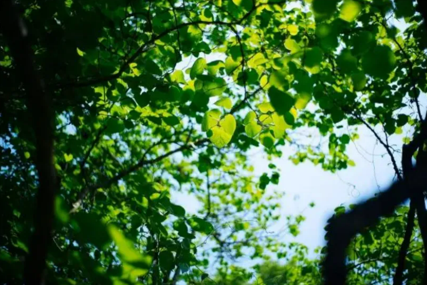 041720051725137467.png image.png