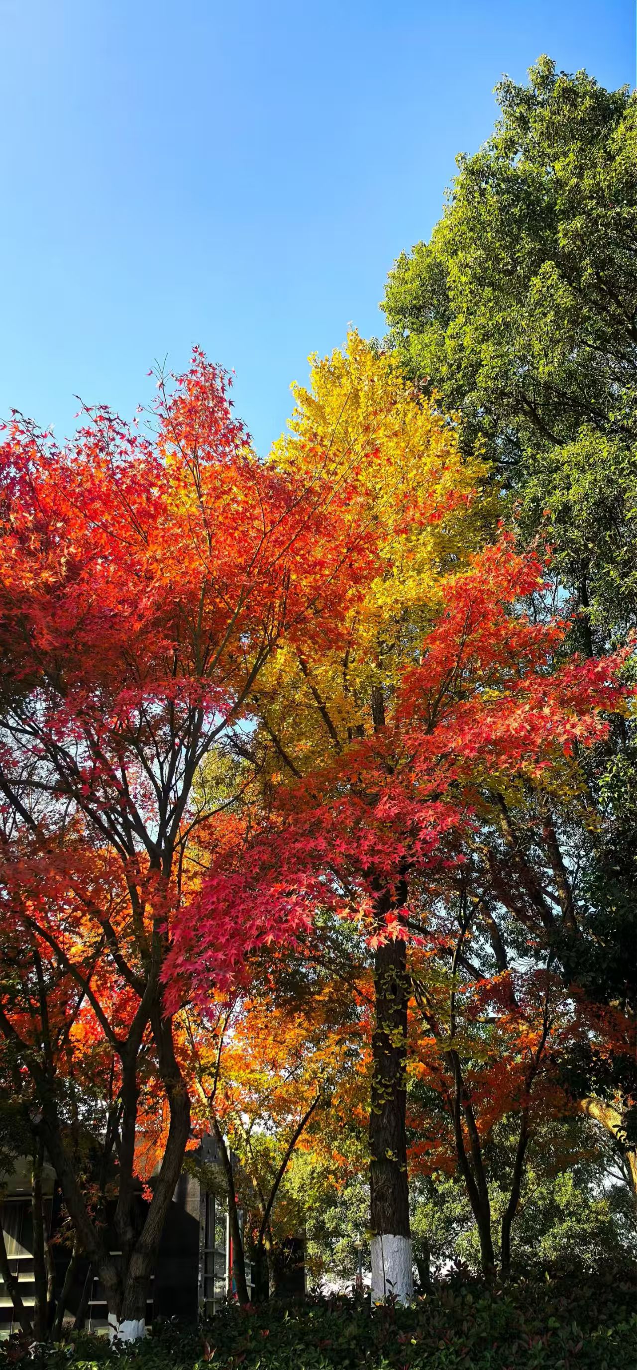 041764807875906466.jpeg 97a1e003e45d3a767d18b86f1433b52.jpg